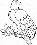 Image result for Eagle Coloring Pages for Kids