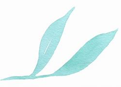 Image result for Free Green Leaf Watercolor PNG