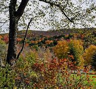 Image result for Fall Foliage in Pennsylvania