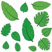 Image result for Green Leaf Cutouts