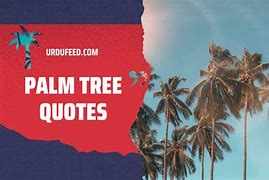 Image result for Tree of Life Quotes Simple