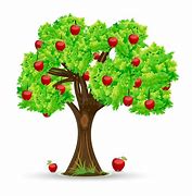 Image result for Apple Tree Images. Free