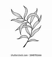 Image result for Willow Tree Branch Illustration