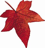 Image result for Willow Leaf Clip Art