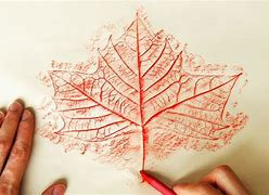 Image result for Autumn Leaf Rubbings