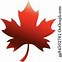 Image result for Simple Maple Leaf in Circle