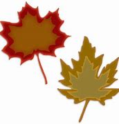 Image result for Maple Tree Clip Art