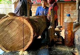 Image result for Serat Kayu Akasia