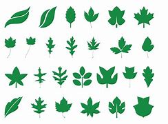 Image result for Leaf Silouette Border