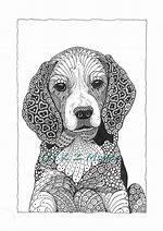 Image result for Zentangle Animal Activities for Kids