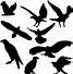 Image result for Free Bird Silhouette