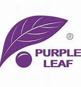 Image result for Leaf for Logo