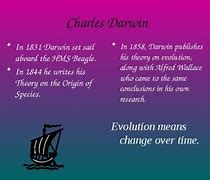 Image result for Evolution PPT