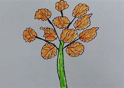 Image result for Maple Leaf Drawing Template