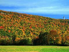 Image result for Fall in CT