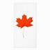 Image result for Maple Leaf Template