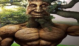 Image result for Wise Mystical Tree ABS