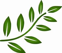 Image result for Leaf Branch Silhouette PNG