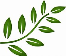 Image result for Branch Logo Green Black