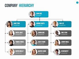 Image result for Professional Organization Chart Design