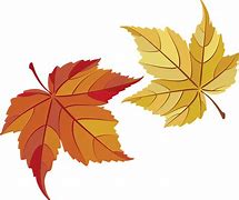 Image result for Draw Leaf