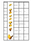 Image result for Graphs of Quadric Surface All Conditions