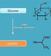 Image result for Glycolysis Reaction