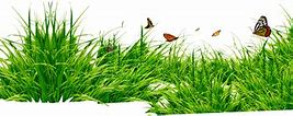 Image result for Pulling Weeds Clip Art