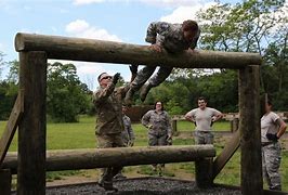 Image result for Air Assault Obstacle Course 3D