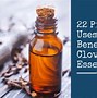 Image result for Best Essential Oils for Cleaning