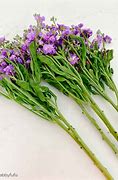 Image result for Grocery Store Bright Flowers