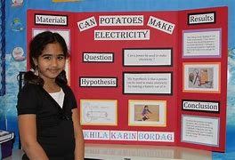 Image result for Science Fair Project Examples