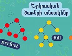 Image result for Elm Tree Types Identification