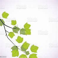 Image result for Maple Tree Branch Vector