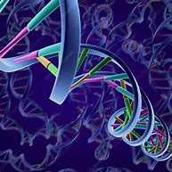 Image result for DNA Chemical Sgtructure