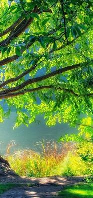 Image result for Background Changer for Photo Real Nature