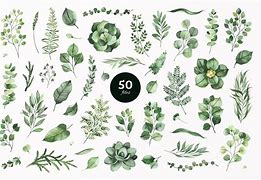 Image result for Watercolor Greenery