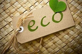 Image result for Eco Green Leaf Logo