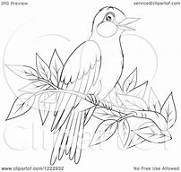 Image result for Perched Bird Drawing