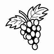 Image result for Grapes ClipArt Black and White