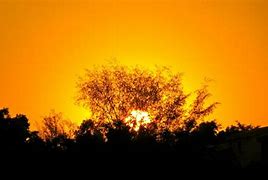 Image result for Hues of Orange