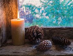 Image result for Holly Berries and Pine Cones Clip Art