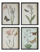 Image result for framed butterfly wall art set