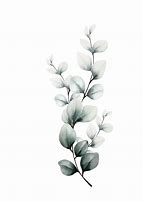 Image result for Watercolor Leaves Background Wallpaper Microsoft