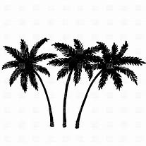 Image result for Beach Hut Palm Tree Vector