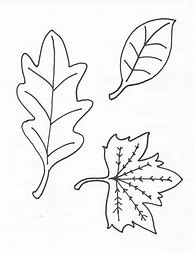 Image result for Leaf Templates Free Printable