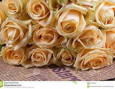 Image result for Beige Roses Desktop Background