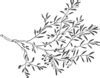 Image result for Cute Black and White Olive Branch Clip Art