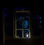 Image result for House at Night with One Light On