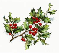 Image result for Holly Berries Clip Art